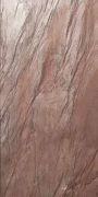 17558.